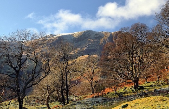 Lake District View