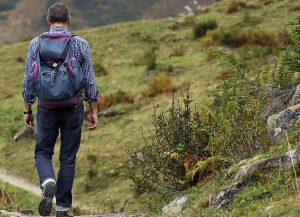 Grange-over-Sands Walks