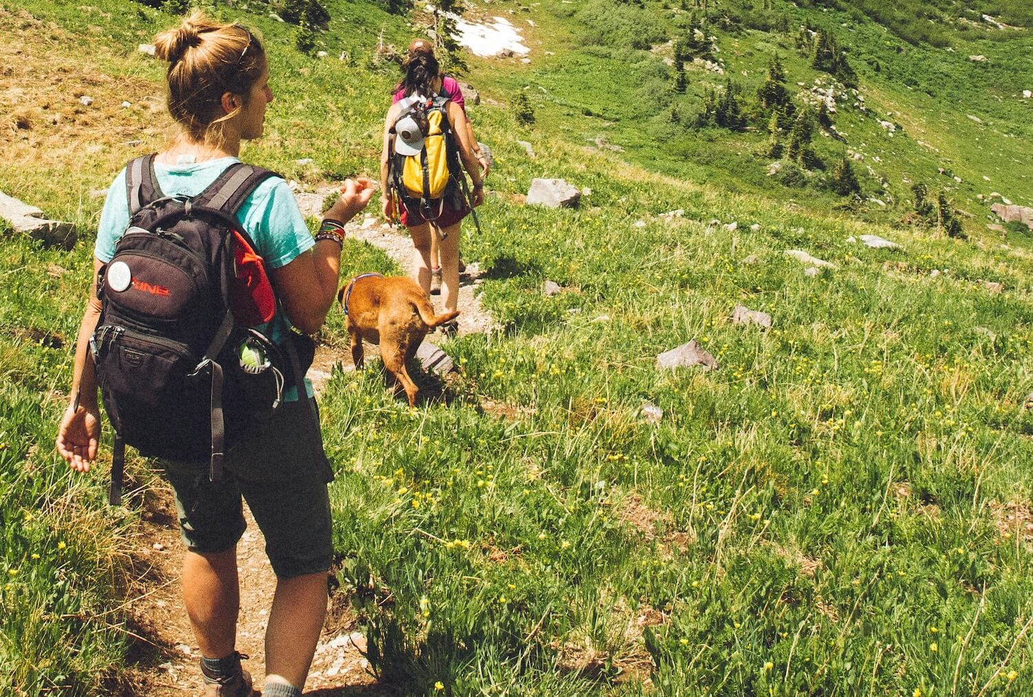 Walks in South Lakes