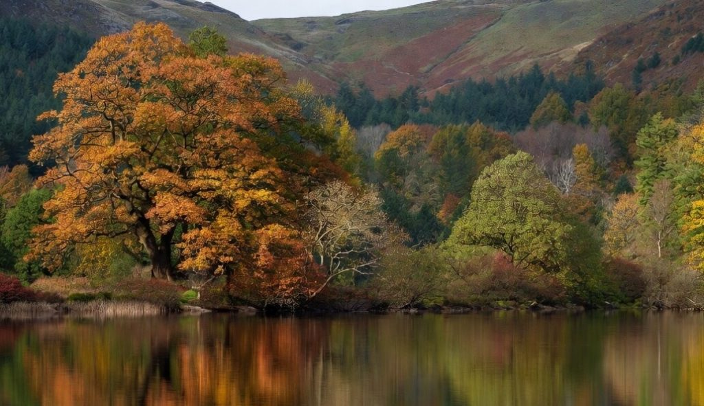 Best Autumn Walks in The Lake District